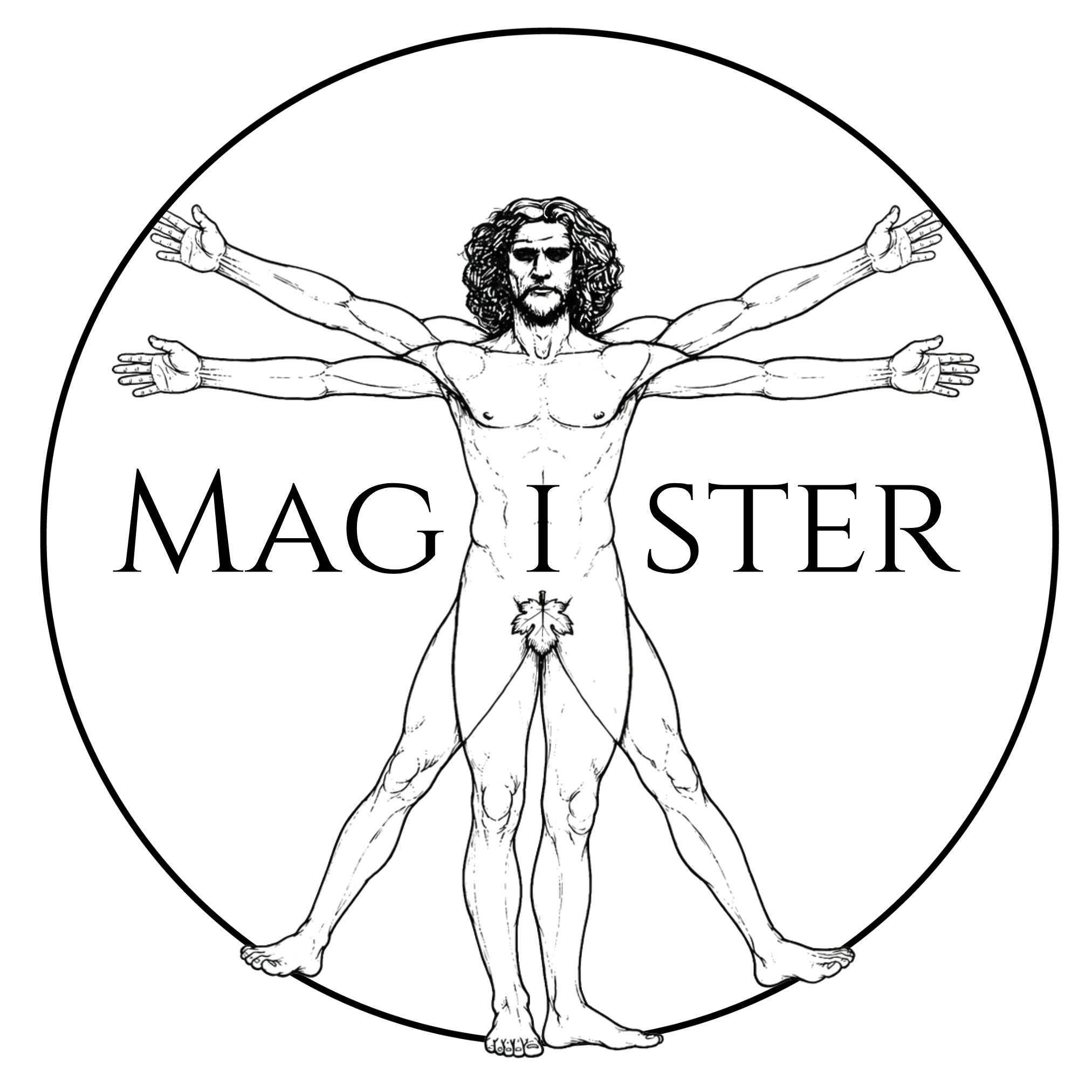 Logo Magister di QuadroDigitale — Storia Aziendale Online